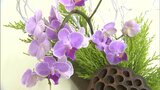 江戸時代から続く専敬流の「いけばな展」 植物そのものの美しさをシンプルに表現した106点【岡山】|TBS NEWS DIG