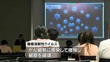 「悪化すればするほど効く」ウイルスを使った最新がん治療とは？　鹿児島大学が研究紹介|TBS NEWS DIG