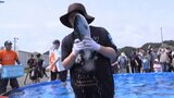 「つるつるしてて掴みにくかった」サーモンのつかみどりに大奮闘 「岩手大槌サーモン祭り」新たな特産品の魅力発信|TBS NEWS DIG