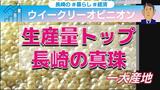 13年ぶり生産量日本一!長崎真珠 ”認知度アップ”に弾み | 長崎のニュース | 天気 | NBC長崎放送