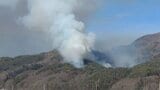 【速報】25日発生の山林火災が鎮火 およそ8.5ヘクタールを焼く 山梨・北杜|TBS NEWS DIG