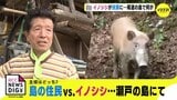民家に侵入… 冷蔵庫も開けて…　島の住民 vs. イノシシ　主役はどっち？　|　RCC NEWS | 広島ニュース | RCC中国放送