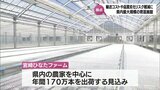 宮崎県内最大規模 トマトやキュウリなどの苗を栽培する最新の育苗施設が宮崎市に完成 | MRTニュース | MRT宮崎放送