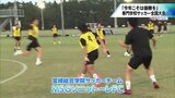 全国専門学校サッカー選手権を前に 日本一狙う 宮崎総合学院のサッカーチーム「MSGソニャトーレFC」 | MRTニュース | MRT宮崎放送