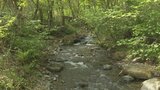 小水力発電所の建設始まる 一般家庭で年間300世帯分の電力 山梨・高川南沢川 | 山梨のニュース | UTYテレビ山梨