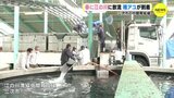 春に江の川に放流　稚アユが到着　広島･三次市の中間育成場|TBS NEWS DIG
