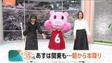 【3月31日 関東の天気】あす関東も…朝から本降り|TBS NEWS DIG