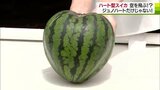 空を飛ぶ!?ハート型スイカ 甘さも増す? 青森県南部町|TBS NEWS DIG