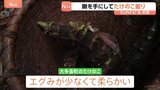 春の味覚 たけのこ料理を味わう 鍬を手にしてたけのこ掘り 山口農園 千葉・大多喜町【SUNトピ】|TBS NEWS DIG