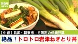 今が収穫の最盛期！"冬限定"の伝統野菜 「岩津ねぎ」で絶品丼づくり　兵庫・朝来市【川地洋平の最旬！丼マン】|TBS NEWS DIG