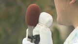 熊本第2の都市で現職と新人の一騎打ち 八代市長選スタート | 熊本のニュース|RKK NEWS|RKK熊本放送