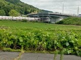 線路内に「撮り鉄」か カシオペアなど一時ストップで1100人に影響“25周年”記念ツアーの列車狙っていた可能性 宮城 | 宮城のニュース│tbc NEWS│tbc東北放送