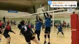 豪快なスパイクや粘り強いプレーで熱戦！宮城県ママさんバレーボール選手権 宮城・富谷市　|　宮城のニュース│tbc NEWS│tbc東北放送