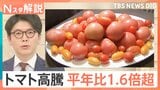 「いま400円ぐらい」もはや高級野菜…“トマトショック” 高値はいつまで続く?【Nスタ解説】|TBS NEWS DIG