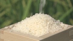 今年の新米「1等米」割合77% 「おおむね例年並み」 9月末時点| TBS CROSS DIG with Bloomberg