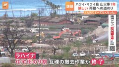ハワイ・マウイ島の山火事から1年「全て無くなってしまった」再建は長期化か| TBS CROSS DIG with Bloomberg