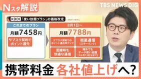 「安くするには経済圏にどっぷりつかること」携帯大手 主要プラン値上げ、街で調査 毎月の利用料金【Nスタ解説】|TBS NEWS DIG