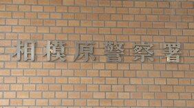 8歳女児が性的暴行被害　父親の誕生日プレゼント買った帰りに　自称無職の34歳男を逮捕|TBS NEWS DIG