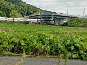 線路内に「撮り鉄」か　カシオペアなど一時ストップで1100人に影響“25周年”記念ツアーの列車狙っていた可能性　宮城|TBS NEWS DIG