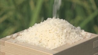 今年の新米 需要を10~40万トン上回る生産か コメの需給見通しの農水省原案判明 民間コメ在庫も10年ぶり高水準に回復か| TBS CROSS DIG with Bloomberg