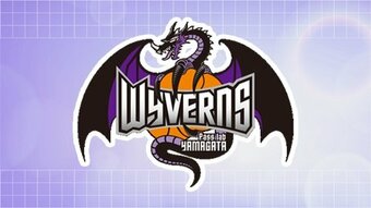 山形ワイヴァンズ３日アウェーで福岡と対戦　７４対６５で勝利|TBS NEWS DIG