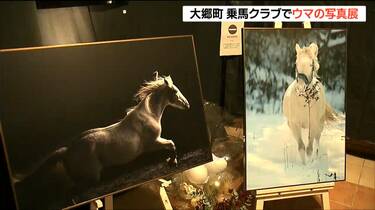 サラブレッドなどの躍動を捉える 乗馬クラブで飼育されている「馬の