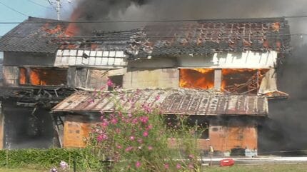 レア台【送料無料】 火山 不要機付き 実機　難点有り 米の国立公園で山火事拡大「世界一の巨木」焼失危機に - YouTube