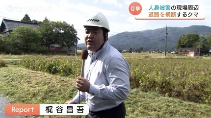 人身被害の現場周辺でドラレコが捉えた道路を横断するクマ 富山・南砺