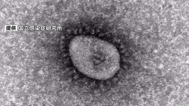 【速報】新型コロナ　山口県内で過去最多・5097人感染確認、8人死亡(5日)　|　山口のニュース・天気・防災｜tys NEWS｜ｔｙｓテレビ山口