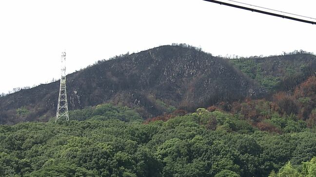 3月発生の山林火災について県と市が住民説明会　復旧に向けた森林の調査結果などを報告　農家からは支援求める声も【岡山】|TBS NEWS DIG