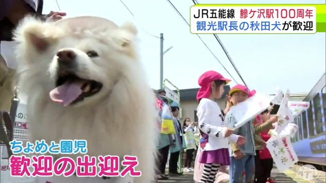 JR五能線・鰺ケ沢駅が開業100周年！　観光駅長の秋田犬「ちょめ」が幼稚園児たちとリゾート列車をお出迎え　青森県|TBS NEWS DIG