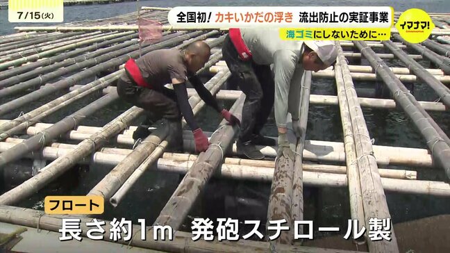 カキいかだの浮き（＝フロート）を海ゴミにしない　日本財団と漁協がタッグ組み瀬戸内海で流出防止の新たな試みスタート　広島|TBS NEWS DIG
