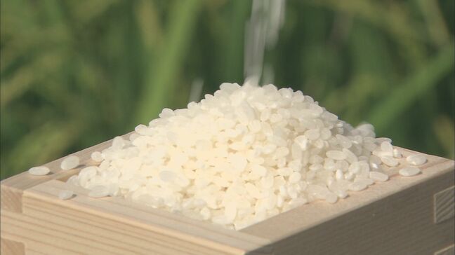 【速報】コメの平均価格5キロ4233円　17週連続の値上がり　前週より12円高く|TBS NEWS DIG