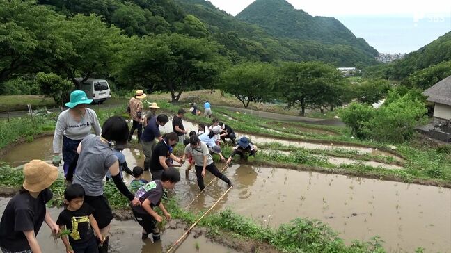美しい風景みんなで守る...伊豆半島『石部棚田』で田植え祭 静岡県内初のオーナー制棚田|TBS NEWS DIG