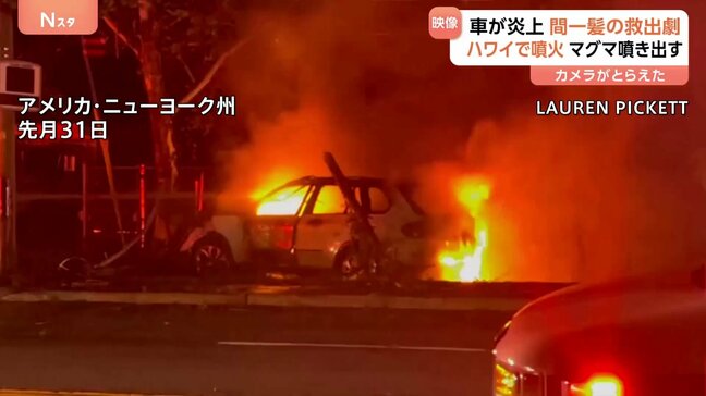 「運転手を救出して」車が炎上 “救出劇”に火の玉投げ合う伝統行事！イルカの大群に遭遇「100頭いた！？」　カメラがとらえた驚きの瞬間映像|TBS NEWS DIG