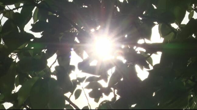 石川県内は3日連続の夏日に 今後も気温高い状態続く見込みで熱中症などに注意を|TBS NEWS DIG