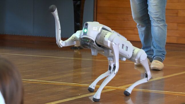 幼稚園でロボットを使った出前授業　最新鋭の犬型ロボに園児たちがかけっこ「同じ速さでびっくりした」【岡山】|TBS NEWS DIG