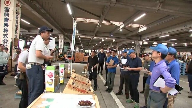 都農町と川南町で栽培 種なしぶどう「デラウェア」の初競り|TBS NEWS DIG