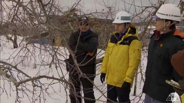 「農家への緊急的な支援をしっかりと考えていきたい」青森県・宮下宗一郎知事が年末年始の“豪雪”で被害受けたリンゴ園の状況を確認　黒石市|TBS NEWS DIG