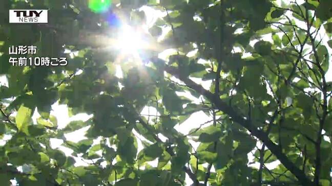 県内で今年初の真夏日! 7つの地点で30度超え 熱中症とみられる症状で搬送者も(山形)|TBS NEWS DIG