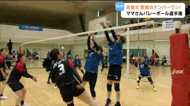 豪快なスパイクや粘り強いプレーで熱戦！宮城県ママさんバレーボール選手権 宮城・富谷市|TBS NEWS DIG