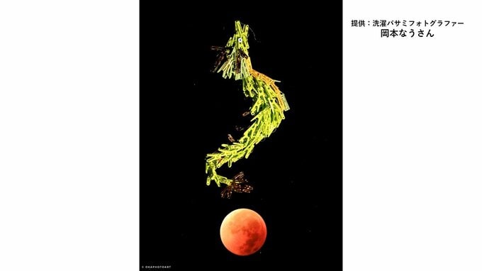 皆既月食の夜「ブラッドムーンがドラゴンボールに見えて」神龍のような写真の正体は“洗濯バサミフォト”だった！？　話題の投稿主を直撃|TBS NEWS DIG