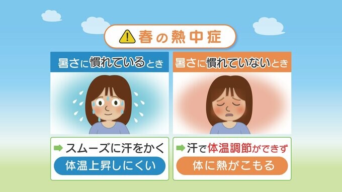 GWも高温傾向　春の熱中症に注意を　最新の１か月予報を詳しく解説|TBS NEWS DIG
