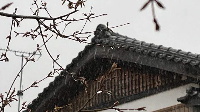 23日昼過ぎにかけて「大気の状態が非常に不安定」に…河川の増水や氾濫に警戒を（高知地方気象台）|TBS NEWS DIG