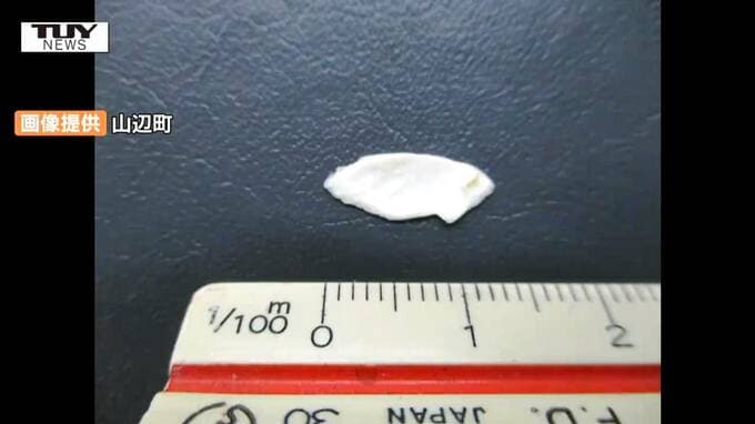 給食センターで混入の可能性は低いか　山辺町の学校給食にプラスチック片…過去には画びょうや針の混入も（山形・山辺町）　|　山形のニュース│TUYテレビユー山形