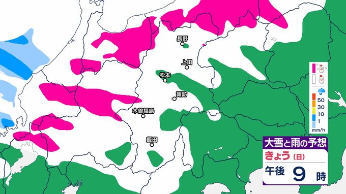 【長野県　大雪情報】12日明け方にかけて大雪警戒　中野飯山50センチ・長野と大北地域山沿いで40センチ　長野地域の平地も20センチ予想【雪と雨のシミュレーション掲載】　|　SBC NEWS | 長野のニュース | SBC信越放送