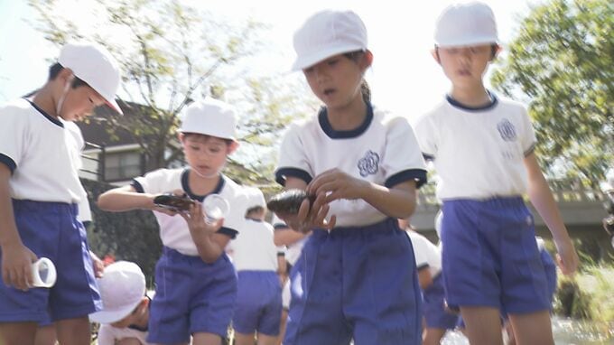 川底の石の裏に何が？児童が夢中で探したホタルのエサ　山口　|　山口のニュース・天気・防災｜tys NEWS｜ｔｙｓテレビ山口