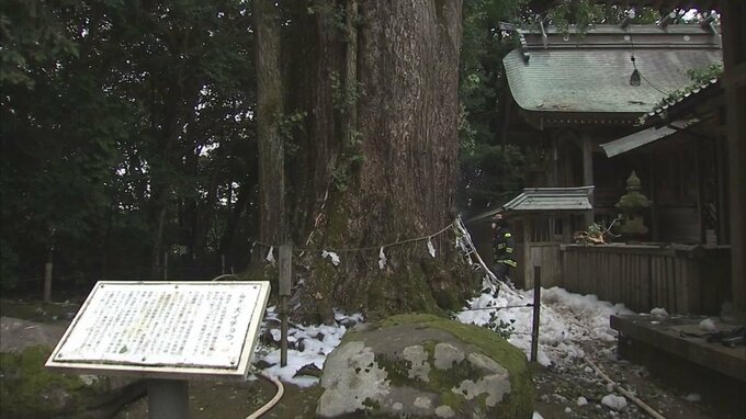 神社に落雷　樹齢1000年以上の「ご神木」が火事に|TBS NEWS DIG