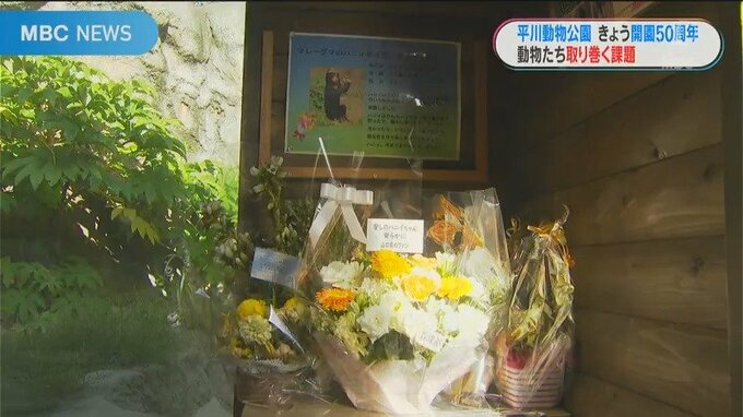 展示室には花が飾られていた