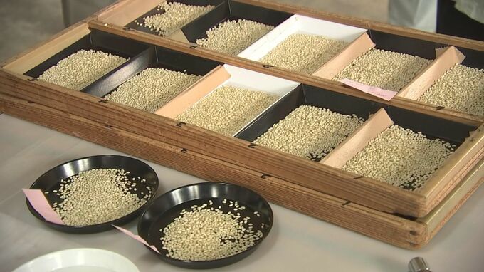 もち米「ヒメノモチ」品質検査始まる　天候に恵まれ、初日出荷分は最高品質“一等米”で好発進　岩手・紫波町|TBS NEWS DIG